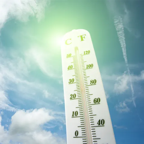 background; celsius; city; climate; cloud; control; day; degree; energy; environment; exhilaration; extreme; fever; global; graph; heat; heatwave; high; hot; hotter; instrument; measurement; meteorology; nature; number; orange; outdoors; plant; red; scale; season; sky; stroke; summer; sun; sunny; sweat; temperature; thermometer; tropical; up; warm; wave; weather; weight; white